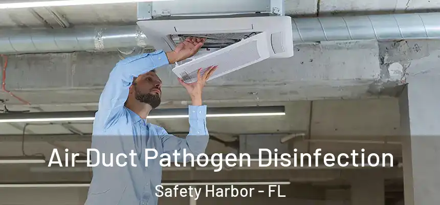  Air Duct Pathogen Disinfection Safety Harbor - FL
