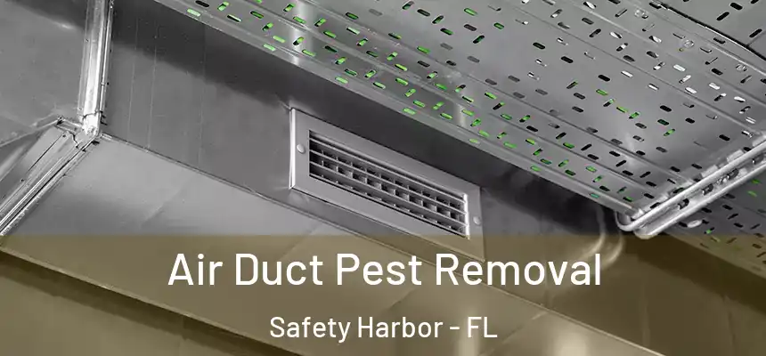 Air Duct Pest Removal Safety Harbor - FL