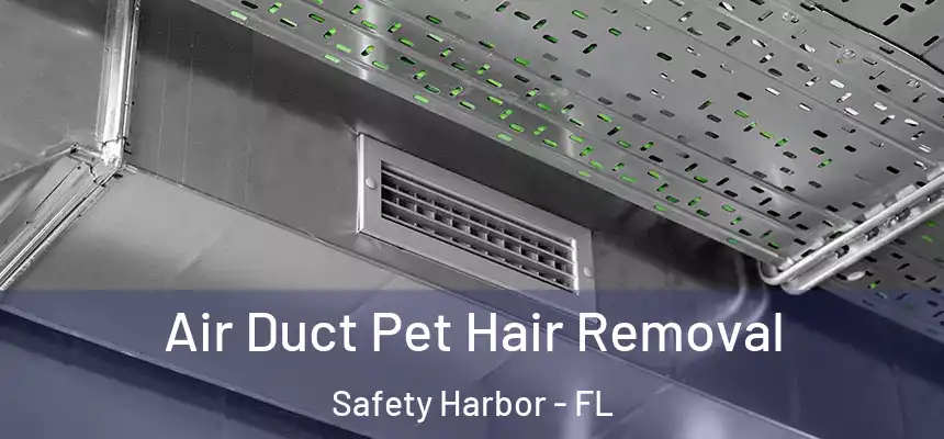 Air Duct Pet Hair Removal Safety Harbor - FL