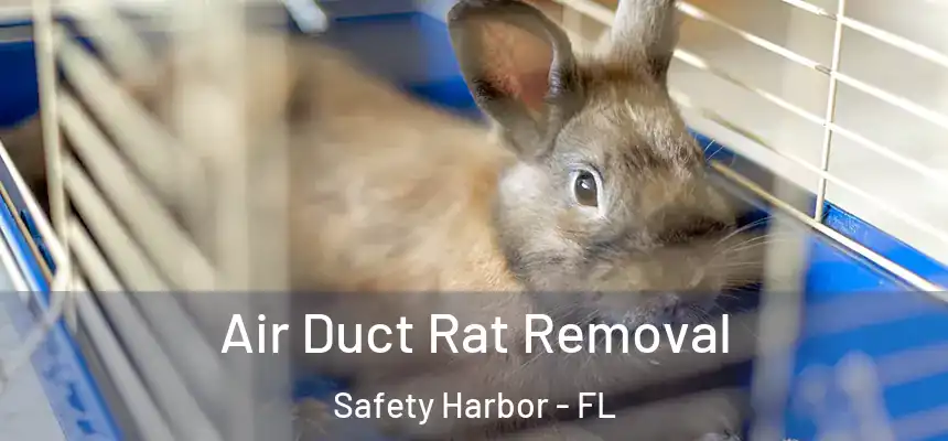 Air Duct Rat Removal Safety Harbor - FL