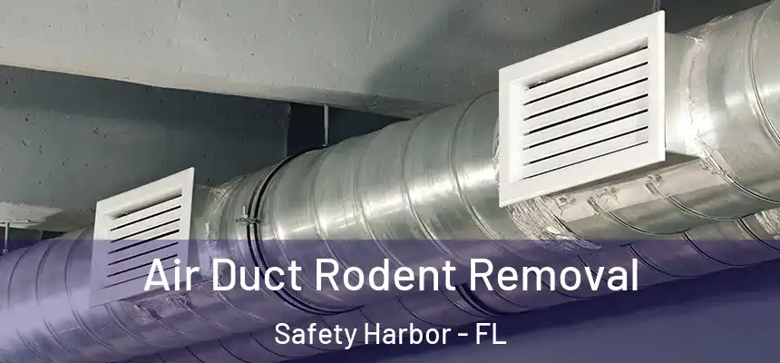 Air Duct Rodent Removal Safety Harbor - FL