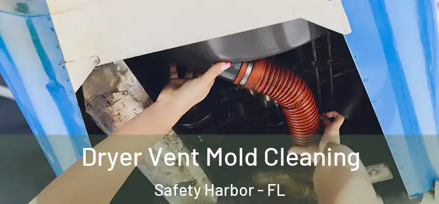 Dryer Vent Mold Cleaning Safety Harbor - FL