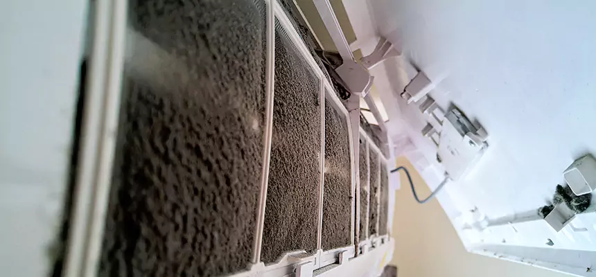 Preventive Air Duct Bacteria Removal in Safety Harbor