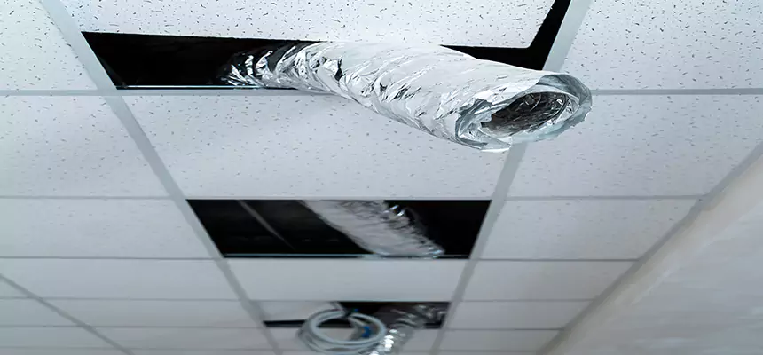 Our Air Duct Pet Hair Removal Services in Safety Harbor, FL