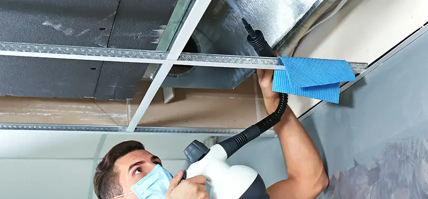 Our Air Duct Rodent Removal Services in Safety Harbor, FL