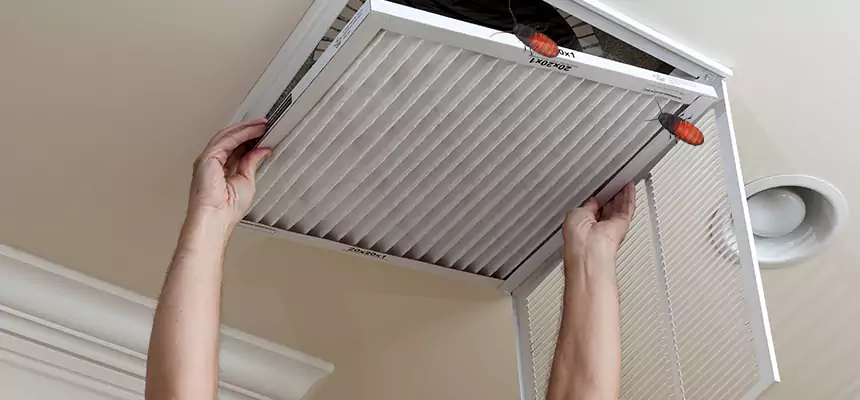 Our Insect Removal from Air Ducts Services in Safety Harbor, FL