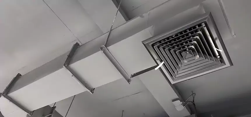 Our Pest Removal From Ducts Services in Safety Harbor, FL