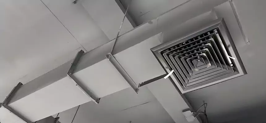 Our Rodent Droppings In Vents Services in Safety Harbor, FL