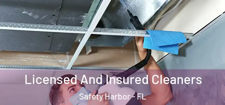 Licensed And Insured Cleaners Safety Harbor - FL