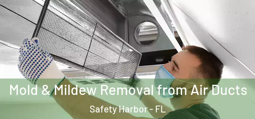 Mold & Mildew Removal from Air Ducts Safety Harbor - FL