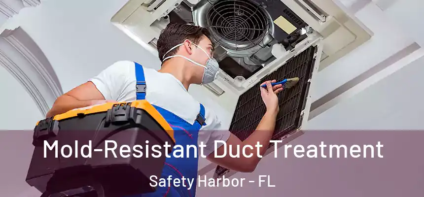 Mold-Resistant Duct Treatment Safety Harbor - FL