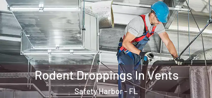 Rodent Droppings In Vents Safety Harbor - FL