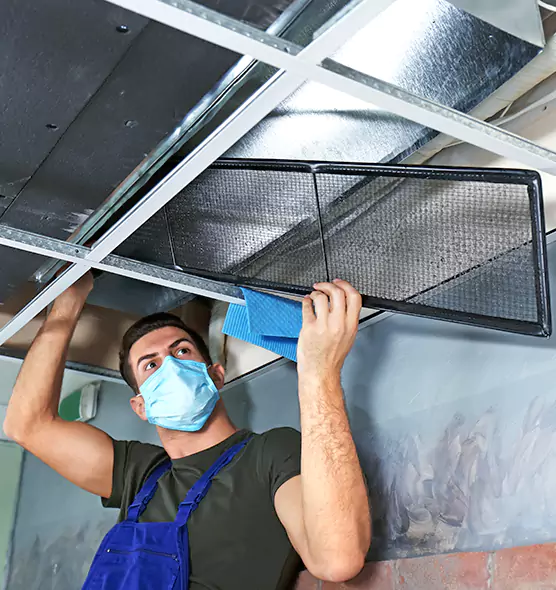 About Air Duct Bacteria Removal in Safety Harbor