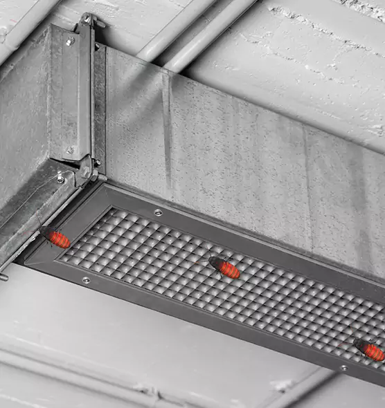 About Air Duct Cockroach Removal in Safety Harbor, FL
