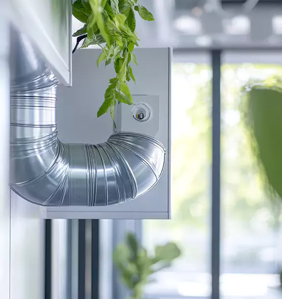 Professional Eco-Friendly Duct Cleaning Services in Safety Harbor, FL