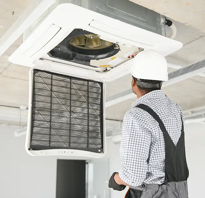 Why Homeowners & Businesses Trust Us in Safety Harbor, FL?