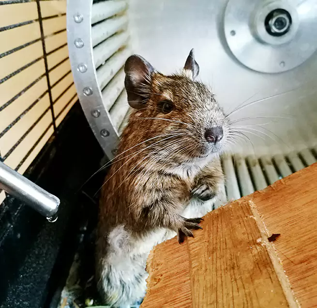 Why Homeowners & Businesses Trust Us Safety Harbor, FL