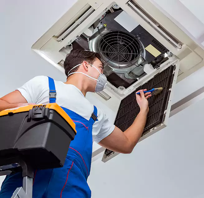 Why Homeowners & Businesses Trust Us in Safety Harbor, FL?