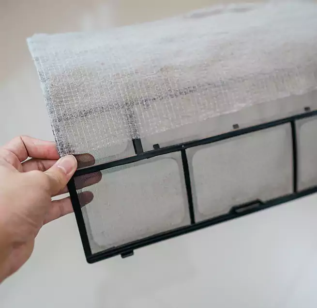 Why Homeowners & Businesses Trust Us in Safety Harbor, FL?