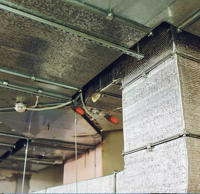 Why Homeowners & Businesses Trust Us Safety Harbor, FL?