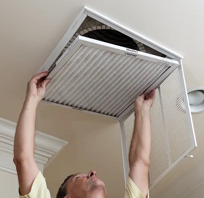 Why Homeowners & Businesses Trust Us in Safety Harbor, FL?