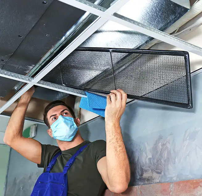 Why Homeowners & Businesses Trust Us in Safety Harbor, FL?