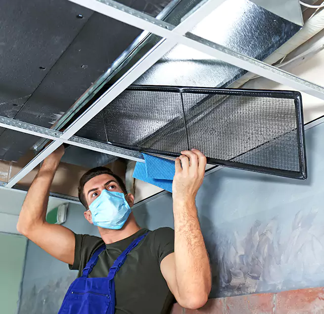  Why Homeowners Businesses Trust Us  in Safety Harbor, FL?